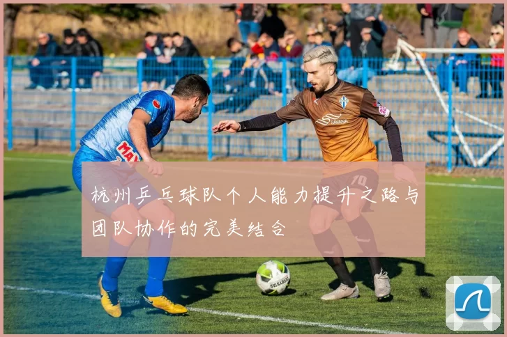 杭州乒乓球队个人能力提升之路与团队协作的完美结合