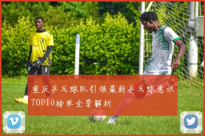重庆乒乓球队引领最新乒乓球意识TOP10榜单全景解析