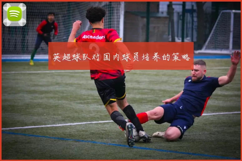 英超球队对国内球员培养的策略