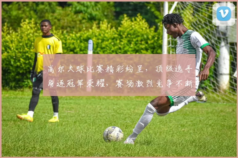 高尔夫球比赛精彩纷呈，顶级选手角逐冠军荣耀，赛场激烈竞争不断