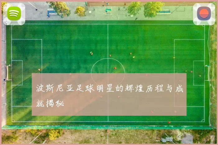 波斯尼亚足球明星的辉煌历程与成就揭秘