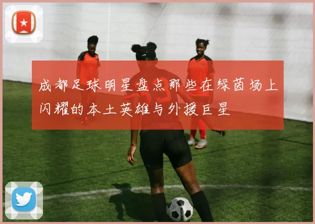 成都足球明星盘点那些在绿茵场上闪耀的本土英雄与外援巨星