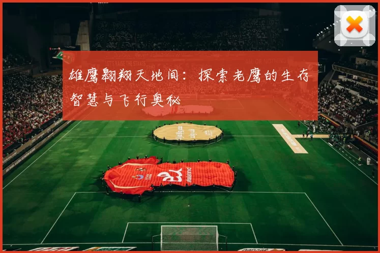 雄鹰翱翔天地间：探索老鹰的生存智慧与飞行奥秘