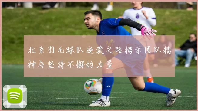 北京羽毛球队逆袭之路揭示团队精神与坚持不懈的力量