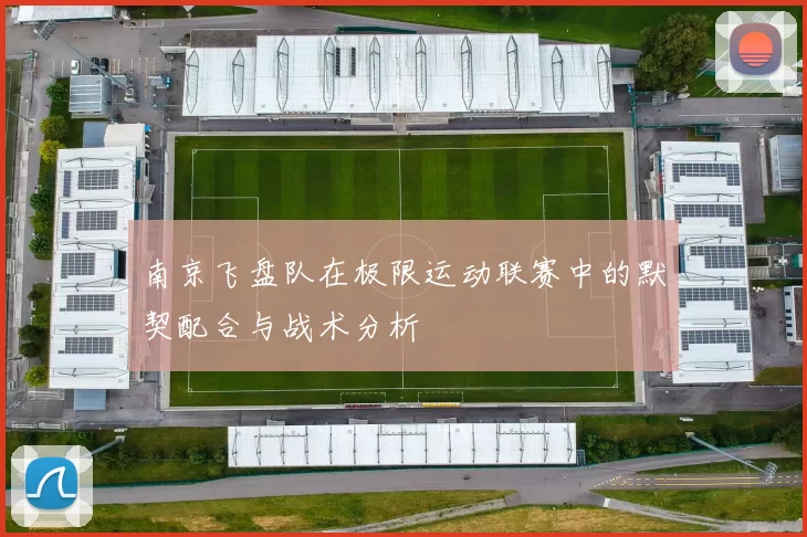 南京飞盘队在极限运动联赛中的默契配合与战术分析