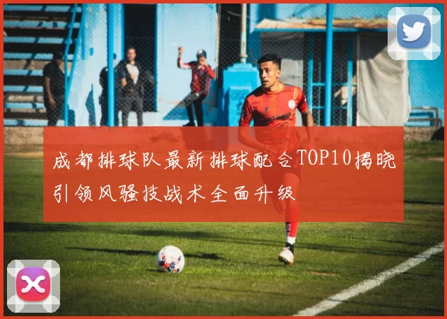 成都排球队最新排球配合TOP10揭晓引领风骚技战术全面升级
