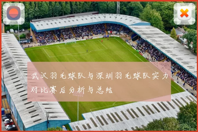 武汉羽毛球队与深圳羽毛球队实力对比赛后分析与总结