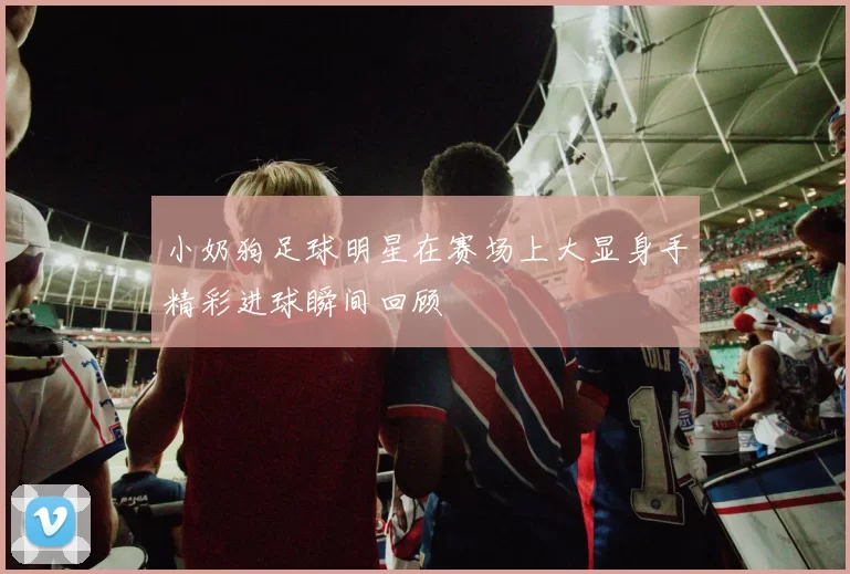 小奶狗足球明星在赛场上大显身手精彩进球瞬间回顾
