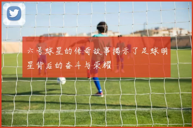 六号球星的传奇故事揭示了足球明星背后的奋斗与荣耀