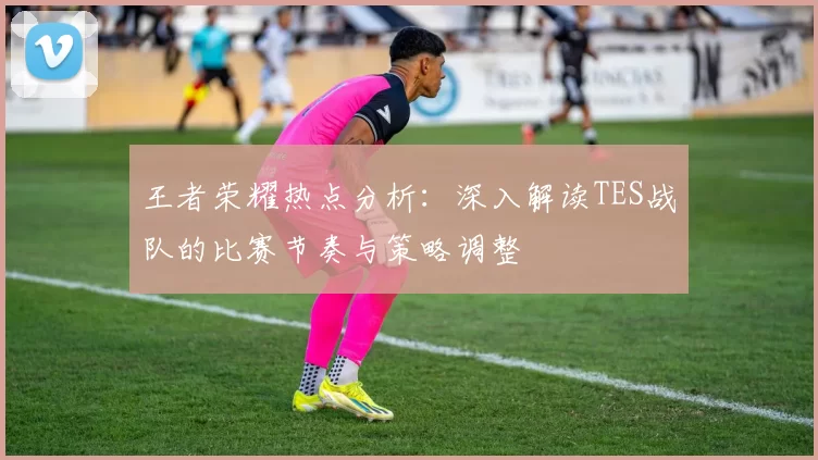 王者荣耀热点分析：深入解读TES战队的比赛节奏与策略调整