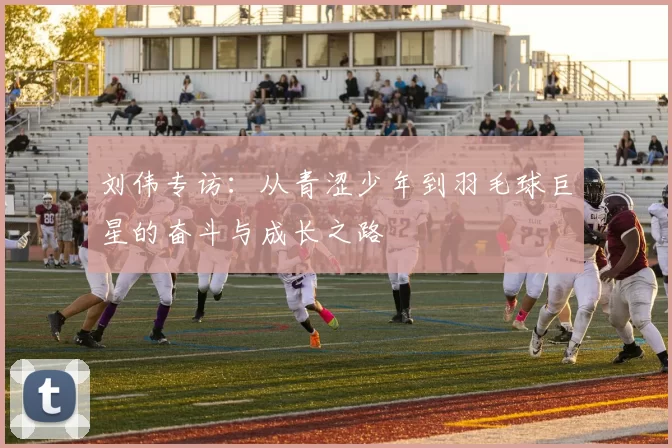 刘伟专访：从青涩少年到羽毛球巨星的奋斗与成长之路