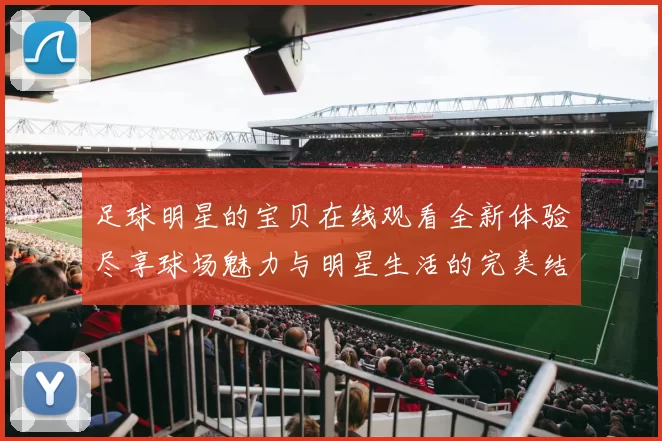 足球明星的宝贝在线观看全新体验尽享球场魅力与明星生活的完美结合
